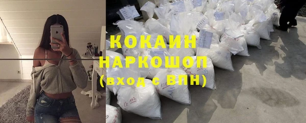 спиды Богородск