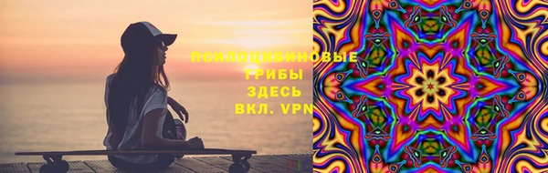 спиды Богородск